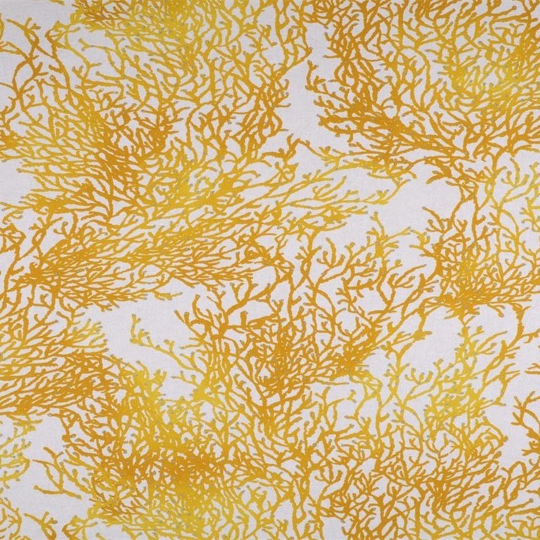 Caledonie Jaune