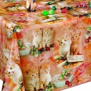 Chatons Roux
