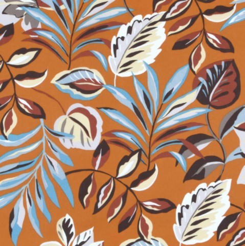 Missandei Orange Missandei Orange