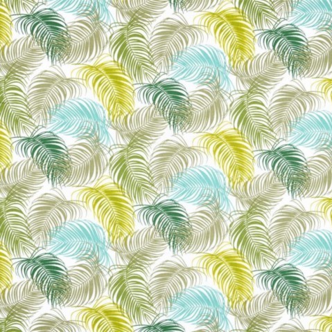 Palmae Vert Palmae Vert