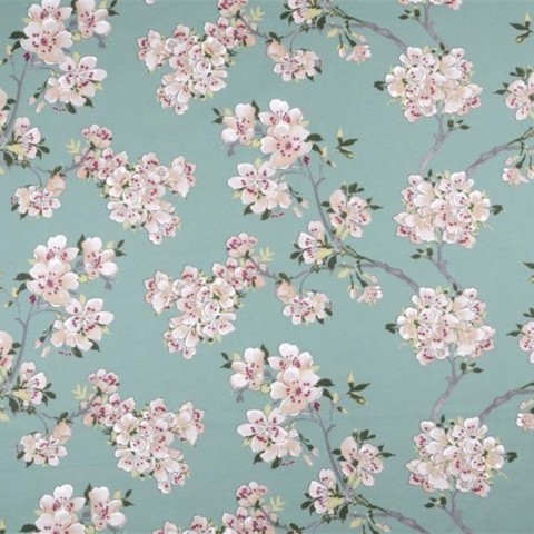 Prunus